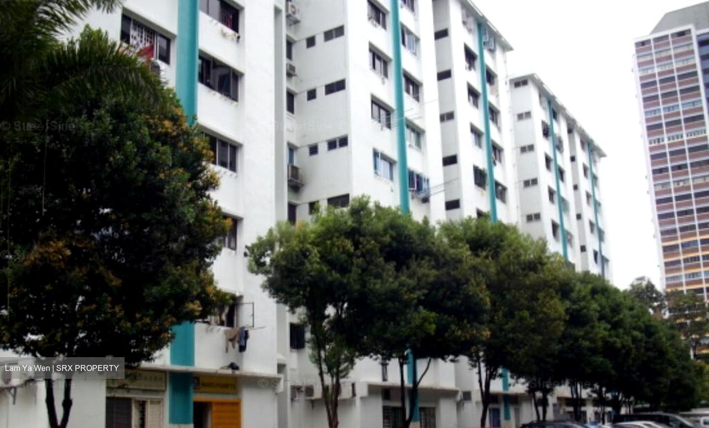 Clementi West Street 2 (D5), Retail #499196861